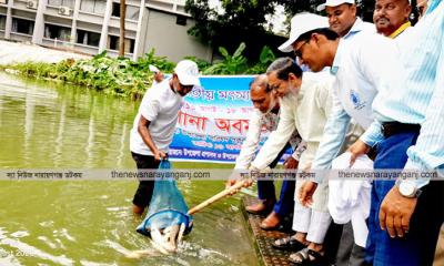 নারায়ণগঞ্জে দেশীয় মাছের ঐতিহ্য ফেরানোর আহ্বান এমপি আবুল কালামের
