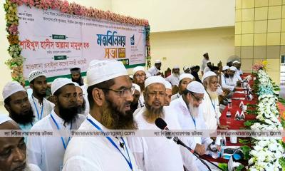 রয়েল রিসোর্টের ঘটনা ছিল হত্যার জন্য নীল নকশা : মামুনুল হক