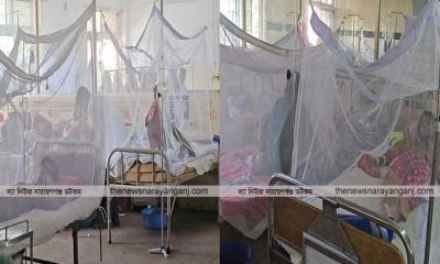 ভয়াবহ রূপ নিচ্ছে ডেঙ্গু