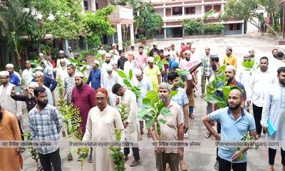 গাছ রোপন করলে সওয়াব হয়