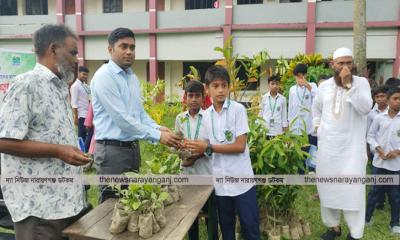 জেলা প্রশাসকের উদ্যোগে আড়াইহাজারে ১০ হাজার চারাগাছ বিতরণ
