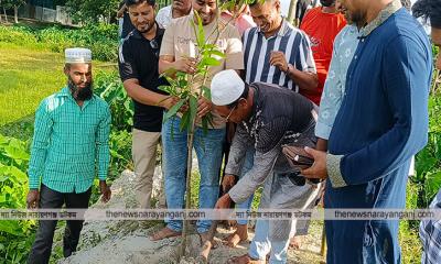 সোনারগাঁয়ে বকুলের বৃক্ষ রোপন কর্মসূচী