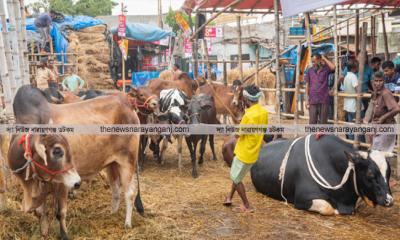 জিমখানায় হাট, বিশৃঙ্খলা বাড়বে শহরে