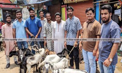 নারায়ণগঞ্জে ২১ শহীদ পরিবারে এনসিপির কোরবানির পশু উপহার 