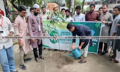 তোলারাম কলেজে ছাত্রশিবিরের বৃক্ষরোপণ